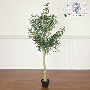 y12/1_9:59܂ŁubNtCf[N[|z tFCNO[ I[u lHϗtA   킢 G CeA