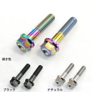 ジクサー250/SF用 64チタン製 フロント キャリパー マウント ボルト 2本セット チタンボルト 焼き色/ナチュラル/ブラック Ti-6Al-4V