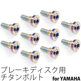 64チタンボルト ブレーキ ディスクボルト ヤマハ用 M6×20 10本 焼き色有り Ti - 6Al - 4V Titanium 64チタン合金