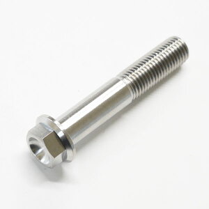 64`^{g M10 × 55mm P1.25 ז tW{g Lp[ }Eg ĂFȂ Ti-6Al-4V 64`^