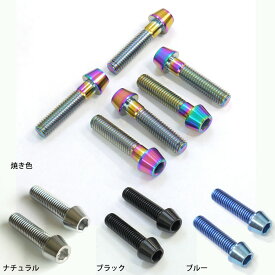 Z900RS用 64チタン製 フォーク クランプ ボルトセット 上下ステムボルト チタンボルト 焼き色/ナチュラル/ブラック/ブルー