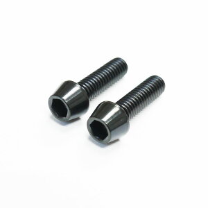 64�`�^���{���g �e�[�p�[�L���b�v M6 × 20mm P1.0 �u���b�N �� Ti - 6Al - 4V Titanium 64�`�^������
