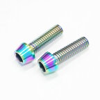 64チタンボルト テーパーキャップ M6 × 20mm P1.0 焼き色有り Ti - 6Al - 4V Titanium 64チタン合金