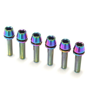 64`^{g e[p[Lbv M5 × 20mm P0.8 6{Zbg bV[t ĂFL Ti - 6Al - 4V Titanium Xe{g XeXN[