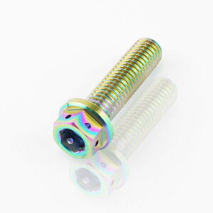 64`^ fAhCu tW{g C[bN M8 × 30mm P1.25 ĂFL Ti - 6Al - 4V Titanium 64`^