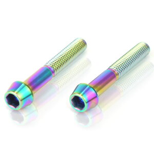 64�`�^���{���g �e�[�p�[�L���b�v M6 × 40mm P1.0 �Ă��F�L�� Ti - 6Al - 4V Titanium 64�`�^������