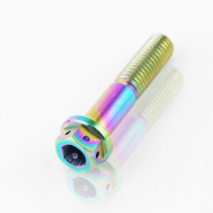 64`^ fAhCu tW{g C[bN M8 × 40mm P1.25 ĂFL Ti - 6Al - 4V Titanium 64`^