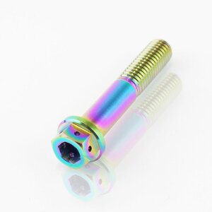 64`^ fAhCu tW{g C[bN M8 × 45mm P1.25 ĂFL Ti - 6Al - 4V Titanium 64`^