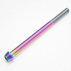 64�`�^���{���g �e�[�p�[�L���b�v M6 × 80mm P1.0 �Ă��F�L�� Ti - 6Al - 4V Titanium 64�`�^������