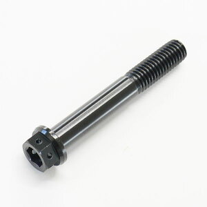 64`^ fAhCu tW{g C[bN M8 × 55mm P1.25 ubN  Ti - 6Al - 4V Titanium 64`^