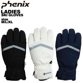 フェニックス phenix レディース ゴアテックススキーグローブ Space Hunter Gloves ESW23GL51