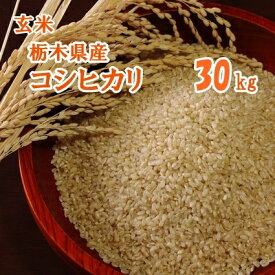 新米【R8年産】栃木県産コシヒカリ 玄米 30kg【送料込み】