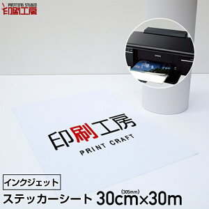 yzzXebJ[V[g [^Cv300mm×30m p CNWFbg[@}bg CNWFbg titBj v^[ O[   