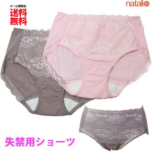 փV[c K[h obN[X փpc p  M/L/LL 傫TCY ARpc ARV[c L ۂ肨 T|[g y V[g fB[X Y p