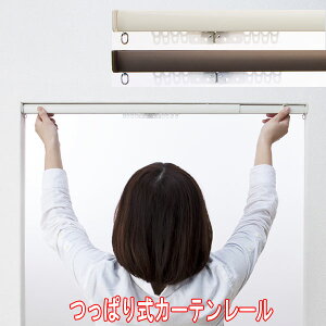 tlX ς莮/bNJ[e[EtBbg Lk110`150cm/J[:AC{[/uE