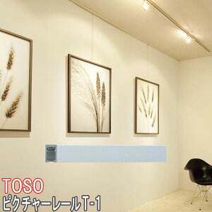 TOSO/g[\[ sN`[[/T-1 TCYI[_[/J[:i`(Vo[)/51`100cm