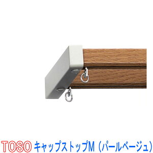 TOSO/g[\[ J[e[G[gpLbvXgbvM(_u)1g2 p[x[WF