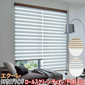 ^`JuCh [XN[fI/GN[h ؖڒt[/TCYI[_[/S2F