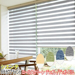 ^`JuCh [J[efI/VGeh ؖڒt[/TCYI[_[/S4F