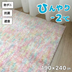 J[ybg 3 O }bg Ђ -2 }CiX2x sN pXeJ[ Jt  q  AX h_j R Չ N[ 190×240cm { 