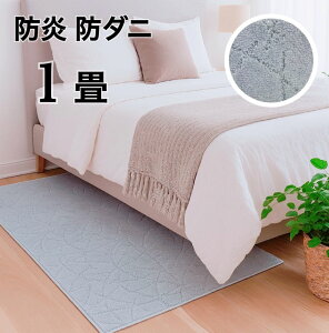 L~ 1 J[ybg O~ h d h_j R h L u[ F I[_[Jybĝ͂ō쐬 85×170cm { 