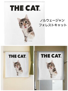 ̂  L ˂ Ԏd؂J[e g 킢 `` AJV[gwA mEF[WtHXg 85×90cm SAVE THE DOG PROJECT 