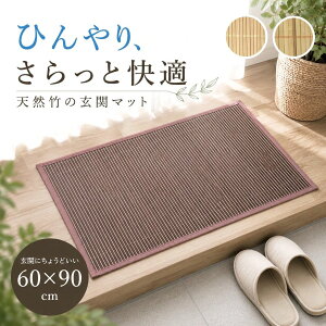 ���փ}�b�g ���� �| �V�R�| �x�[�W�� �u���E�� ��60×90cm ���n ���K �R�� �h�L �o���u�[ �|�}�b�g �T���b�� �������ȒP �V�R�f�� �V���v�� ����݂₷�� ������ �Ђ��� �����}�b�g �y�b�g