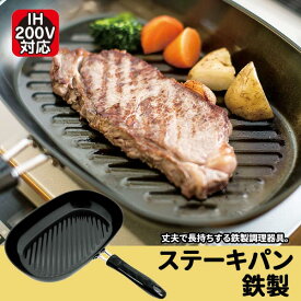 鉄製 ステーキパン フライパン 鉄製フライパン オーバル型 ◆送料無料◆ ステーキ 肉料理 IH対応 直火対応 鉄 日本製 鉄分補給 調理器具 生活 暮らし 家庭用品 日用雑貨 節約 キッチンツール 台所用品 セール OFF ショッピング 激安 格安 価格【送料無料】【smtb-TK】