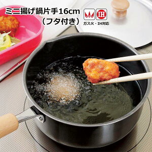 片手揚げ鍋 プチ揚げ鍋 ミニ揚げ鍋 16cm フタ付き 鉄製鍋 コンパクト ◆送料無料◆ ミニ揚げ鍋片手 IH対応 ガス火対応 鍋 天ぷら鍋 揚げ鍋 フライ鍋 片手鍋 天ぷらやフライ 揚げ物に 鉄鍋 オー