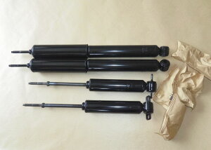 IIWiԗpVbNg^NEMS110nRS110nGS110np1䕪