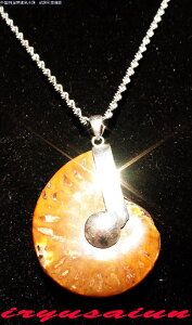 VR AiCg e ΃y_ggbvjp Vi@_̃fB[XlbNXYlbNXnecklace ammonite fossilЗʉ_ʔ