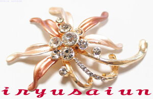 ԃL[rbNWRjA u[`fB[Xu[` Viu[` uh u[`Hbrooch u[`  Зʉ_ʔ