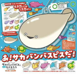 �A�[�g���j�u�e�N�j�J���[�@�T�J�o���o�X�s�X�Ƃ������I�ȂȂ��܂����A�N�����}�X�R�b�g�@�S6��Z�b�g�@�J�v�Z���g�C�@�t�B�M���A�@�I���h�r�X�I�@�C�m�����y�݌ɕi�zA-20