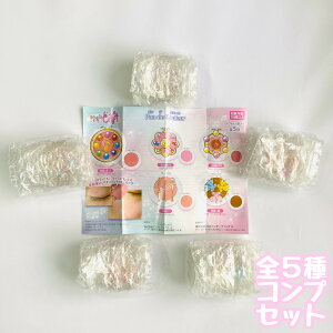 |fN[ Wǂ }`J[pE_[@S5Zbg@JvZgC@tBMAy݌ɕizA-41