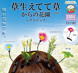 �������Ăđ�����̉ԉ��w�A�N���b�v�@�S5��Z�b�g�y�݌ɕi�zA-24