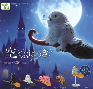 ƂԂق@S5Zbg@JvZgCy݌ɕizA-46