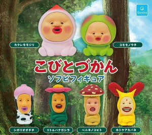 тƂÂ \trtBMA@S6Zbg@JvZgC@tBMAy݌ɕiz