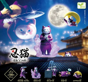 EL`E@iɂۂjZZ̏p`@S5Zbg@JvZgC@tBMAy݌ɕizA-16