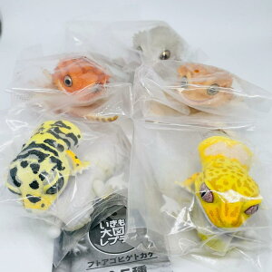 A-31【在庫品】いきもの大図鑑レプティ フトアゴヒゲトカゲ 全5種セット ガチャ カプセルトイ とかげ 爬虫類