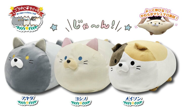 楽天市場】ごろねこサミット 第17回 おうち代表ねこ会議 全3種セット  