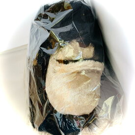 楽天市場 シャクレルプラネット ライオンの通販