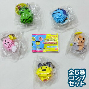 ܂ hbgtBMA`[@S5Zbg@JvZgCy݌ɕizB-36