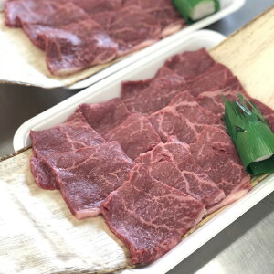 јa a5 ē Ԑg v y800gz Ԑg ē ~ a  O 蕨 p j j Mtg v[g  Ε iscpn10