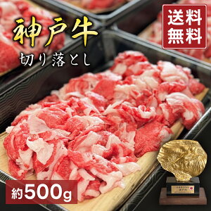 _ˋ _˃r[t  ؗ y500gz    ʔ w  O 蕨 p j j Mtg v[g  Ε ispup