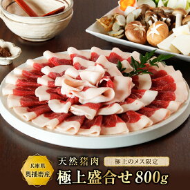 猪肉 ぼたん鍋（松）【極上盛合せ800g】『約5~6人前』食品 精肉 いのしし肉 イノシシ肉 猪鍋 ぼたん鍋 ジビエ 肉 天然 お取り寄せ グルメ ギフト 贈り物 贈答用 プレゼント 入学祝い お祝い 内祝い 母の日 父の日