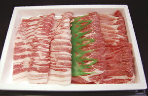 ؂  [X J^[Xy1kgz Y uh|[N ₫ Ԃ yPHO|[N Ffz O 蕨 p j j Mtg v[g