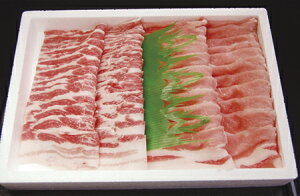 ؃[X o ₫ Ԃԁy PHO|[N Ffzy1kgz  O 蕨 p j j Mtg v[g  HMtg ispup