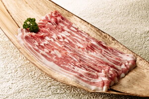 ؃o ԂԁyPHO|[N Ffzy500gz  O 蕨 p j j Mtg v[g  HMtg ispup