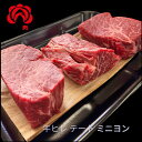 ヒレ肉 牛ヒレステーキ テート ミニヨン 赤身 厳選国産牛 厚切り 【約200g×3枚】 赤身肉 お取り寄せ グルメ 贈り物 贈答用 入学 就職 お祝い 内祝い 父の日 ギフト プレゼント BBQ キャンプ 送料無料