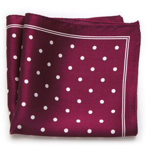 ���|�P�b�g�`�[�t �����Y �����������{�������C��×��/�h�b�g�@�v�����g�@�g�t���|�P�b�g�`�[�t�@�V���N100���@���[���։@acc-DT03